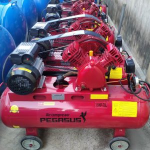 Máy nén khí dây đai Pegasus TM-V-0.12/8-70L