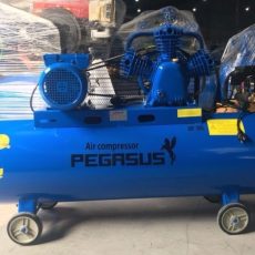 Máy nén khí trục vít Pegasus 4hp-180L