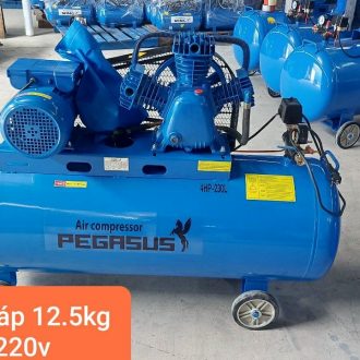 máy nén khí pegasus 4hp-230L