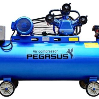 MÁY NÉN KHÍ DÂY ĐAI PEGASUS TM-W