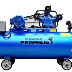 Máy Nén Khí Dây Đai Pegasus TM-W-0.36/12.5-120L (3P-380V)