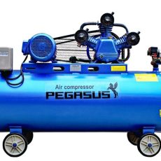 Máy Nén Khí Dây Đai Pegasus TM-W-0.36/8-120L (3P-380V)
