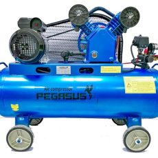 MÁY NÉN KHÍ DÂY ĐAI PEGASUS TM-V-0.25/12.5-120L (3HP/220V)