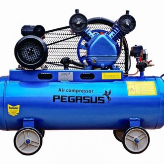 Máy Nén Khí PEGASUS TM-V-0.17/8-120L
