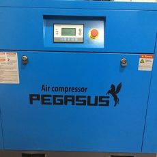Máy nén khí trục vít Pegasus