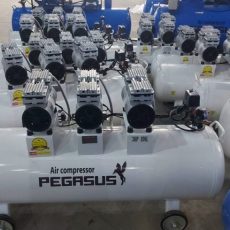 Máy nén khí không dầu Pegasus TM-OF750x3-120L