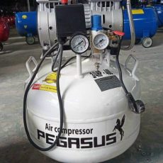 Máy nén khí không dầu Pegasus TM-OF750 - 40L (1HP)