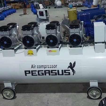 Máy nén khí không dầu Pegasus TM-OF1110x4-330