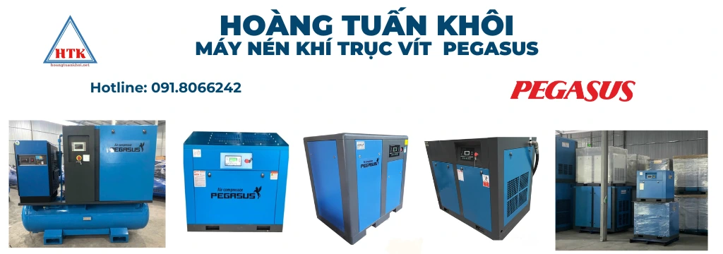 Bán máy nén khí trục vít Pegasus